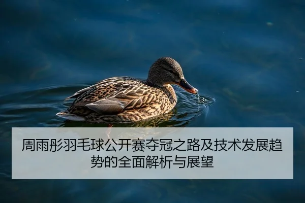 周雨彤羽毛球公开赛夺冠之路及技术发展趋势的全面解析与展望 - zoty sports